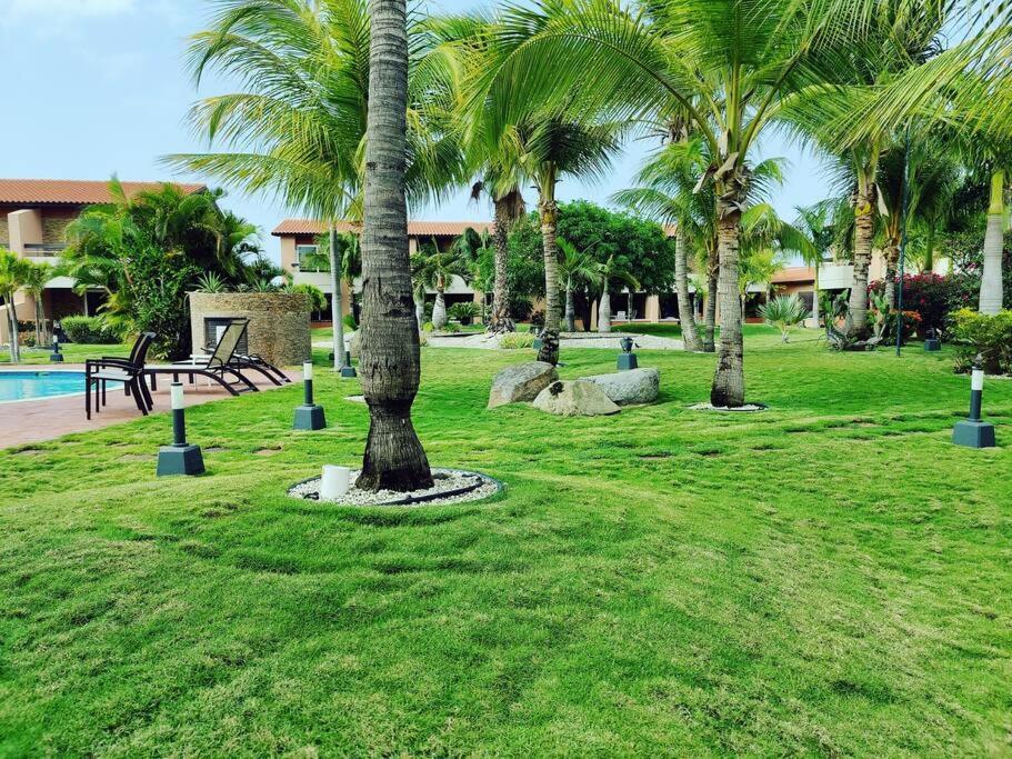 Aruba Family Oasis 2Br Pool 3Min Walk To Eagle Beach Palm Beach Eksteriør bilde