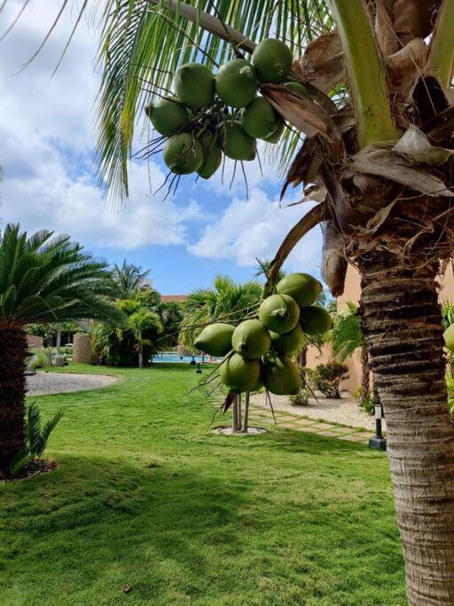 Aruba Family Oasis 2Br Pool 3Min Walk To Eagle Beach Palm Beach Eksteriør bilde