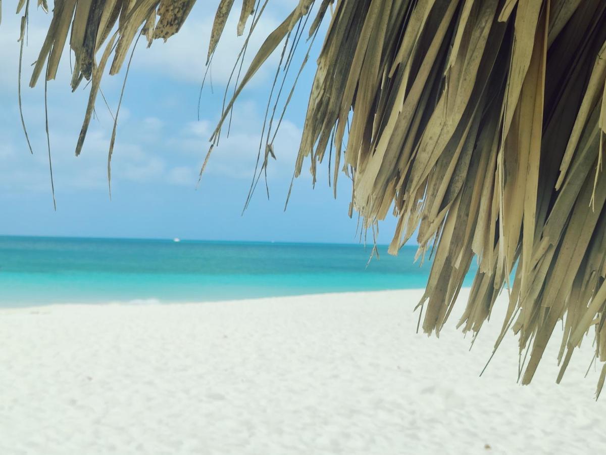 Aruba Family Oasis 2Br Pool 3Min Walk To Eagle Beach Palm Beach Eksteriør bilde