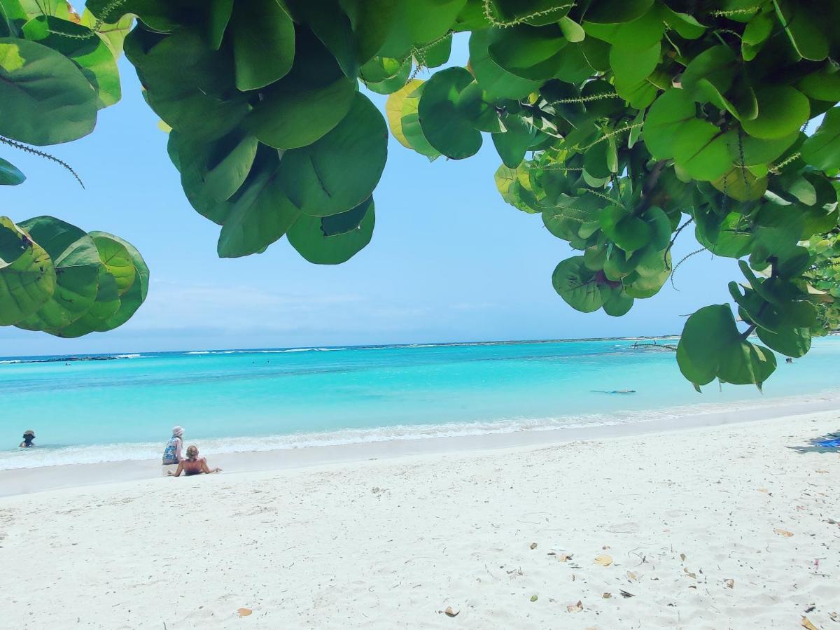 Aruba Family Oasis 2Br Pool 3Min Walk To Eagle Beach Palm Beach Eksteriør bilde